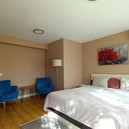 4 Seasons Apartments Bistrita  Luaran gambar